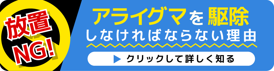 アライグマを駆除しなければならない理由