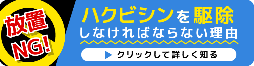 ハクビシンを駆除しなければならない理由